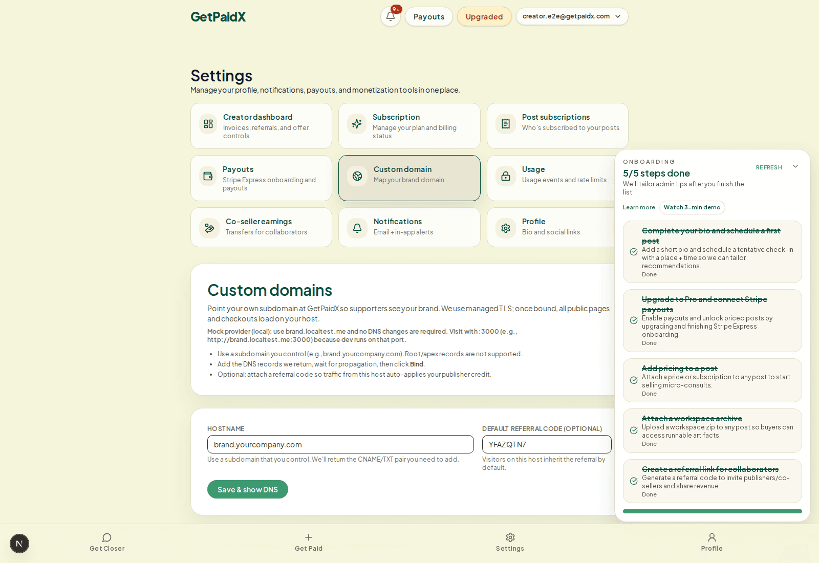 Custom domains settings screen with DNS instructions